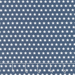 Hearts' Anthem - Stars Blue Yardage Primary Image