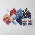 All Star (Moda) - Fat Quarter Bundle Primary Image