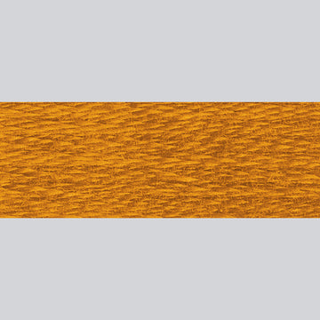 DMC Embroidery Floss - 780 Ultra Very Dark Topaz Alternative View #1