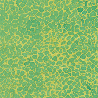 Expressions Batiks - Elementals Grass Yardage
