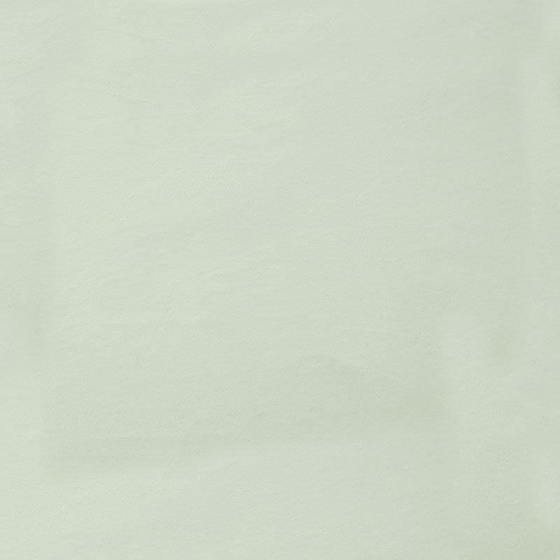 Cuddle® Solids - Sage 60" Minky Yardage Primary Image