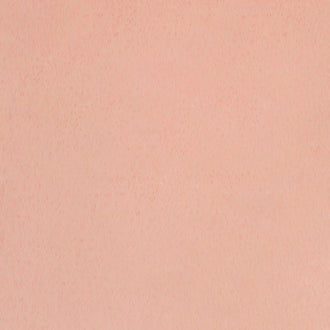 Luxe Cuddle® - Seal Ice Pink Minky Yardage
