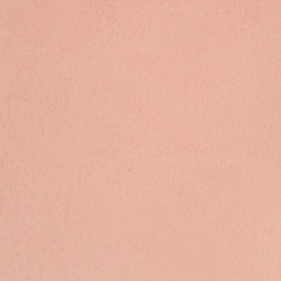Luxe Cuddle® - Seal Ice Pink Minky Yardage