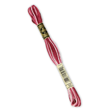 DMC Embroidery Floss - 99 Variegated Mauve Primary Image