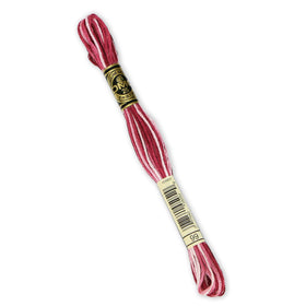 DMC Embroidery Floss - 99 Variegated Mauve Primary Image