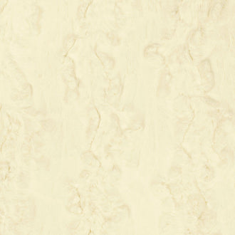 Luxe Cuddle® - Glacier Ivory Minky Yardage