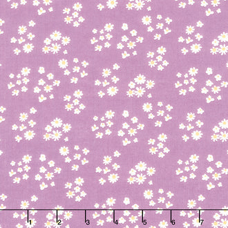 Hello Spring - Daisies Lavender Yardage