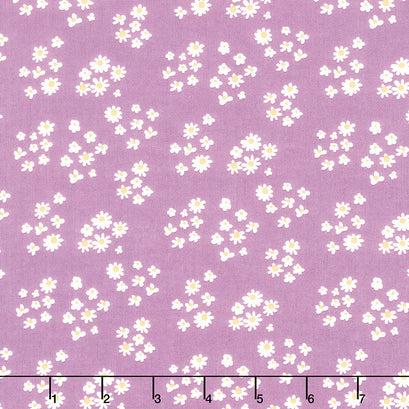 Hello Spring - Daisies Lavender Yardage