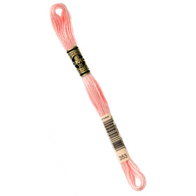 DMC Embroidery Floss - 353 Peach Primary Image