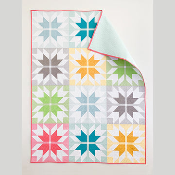 Digital Download - Prairie Tracks Quilt Pattern Alternative View #3