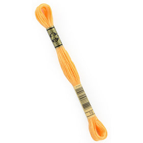 DMC Embroidery Floss - 19 Medium Light Autumn Gold Primary Image