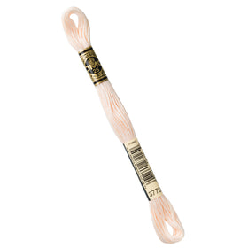DMC Embroidery Floss - 3770 Very Light Tawny Primary Image