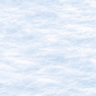Naturescapes - Winter Gathering Snow White Yardage