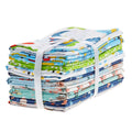 Novelty Fun Favorites 10 Piece Fat Quarter Bundle Alternative View #1