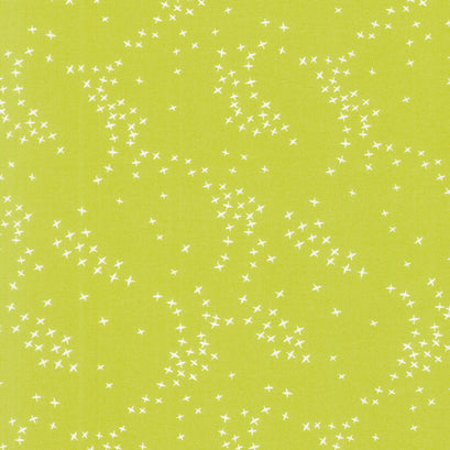 Seasons - Birds Pistachio Yardage