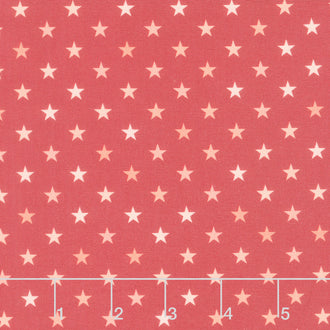 Welcome Home Star - Red Cherry Yardage