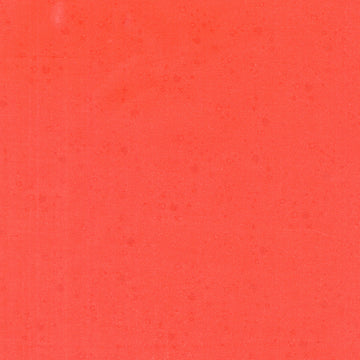 Kitty Litter - Alizarin Yardage Primary Image