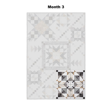 Naturally Neutral Block of the Month Alternative View #4