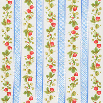 Strawberry Garden - Border Stripe Multi Yardage