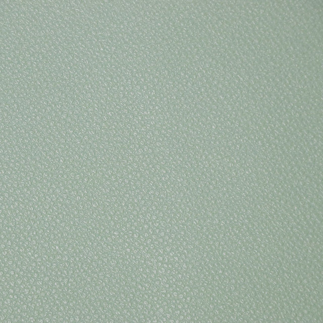 Eucalyptus Pebble Faux Leather - 1/2 Yard Cut Primary Image