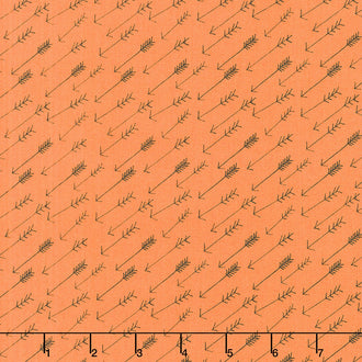 Hello, Bear - Adventure Bark Yardage