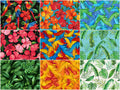 Tropical Paradise Macaws Fat Quarter Bundle Alternative View #3