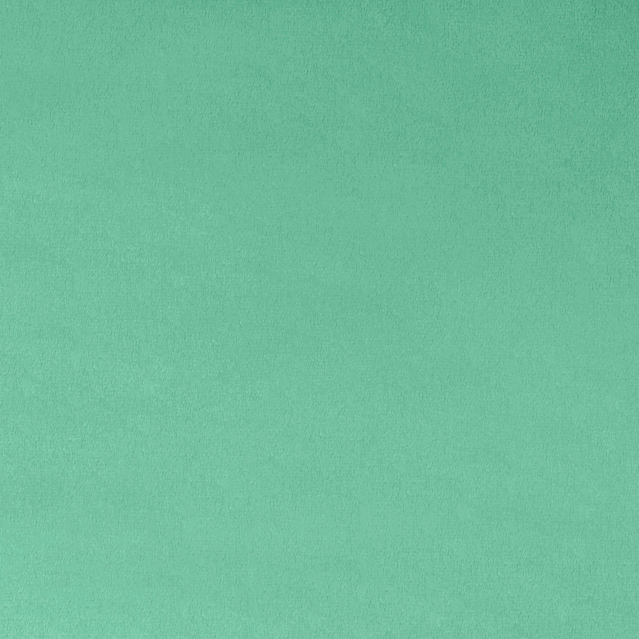 Cuddle® Extra Wide - Spearmint Yardage Primary Image