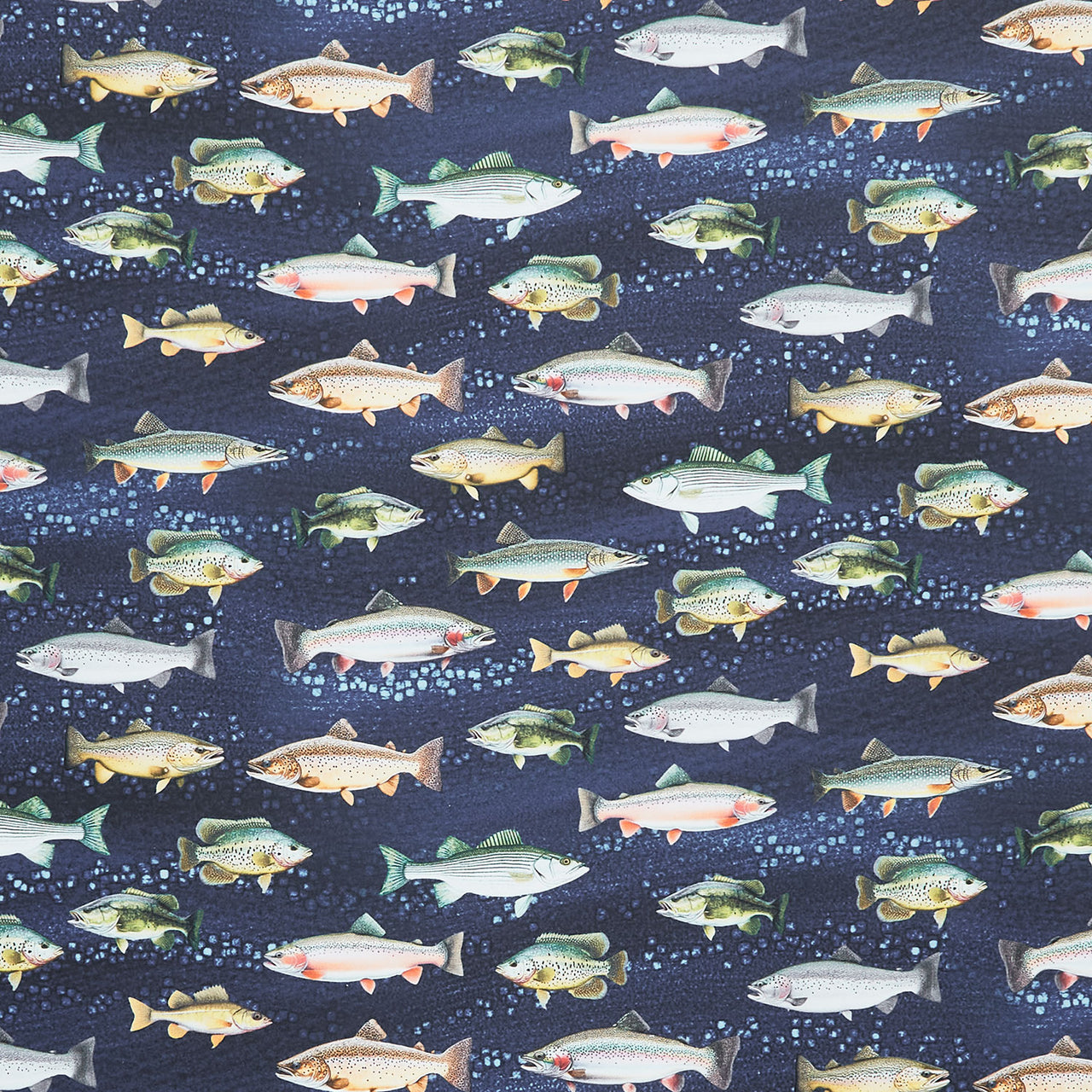 Animals (Timeless Treasures) - Fish Blue Yardage Primary Image
