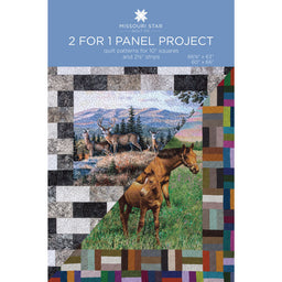 2 for 1 Panel Project Pattern by Missouri Star