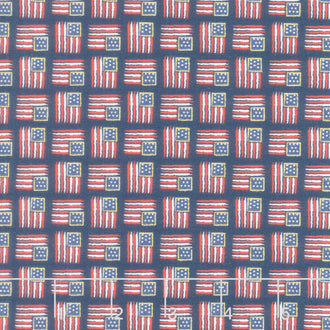 Sweet Freedom - Flags Oxford Sparkle Yardage