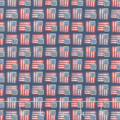 Sweet Freedom - Flags Oxford Sparkle Yardage
