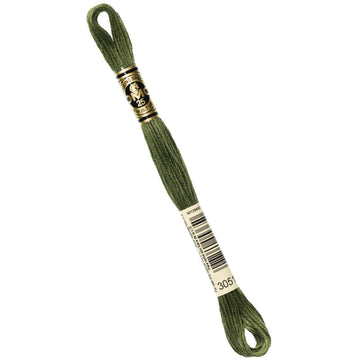 DMC Embroidery Floss - 3051 Dark Green Gray Primary Image
