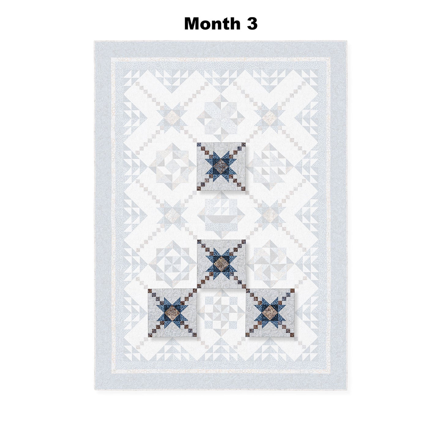 Tonga Lakeside Rough Waters Block of the Month Alternative View #4