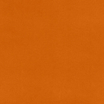 Cuddle® Extra Wide - Ginger Yardage Primary Image