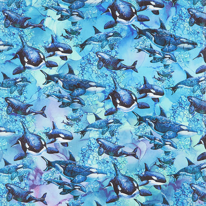 Whale Song - Whales Blue Multi Yardage