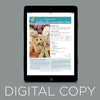 Digital Download - Azalea the Snowshoe Hare Stuffed Animal Pattern
