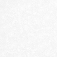 Solitaire Whites - Ultra White - Blossom Ultra White Yardage Primary Image
