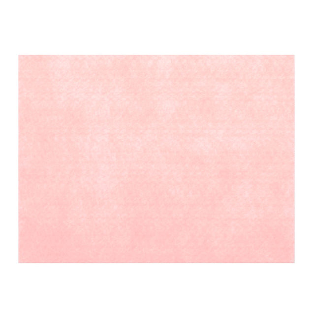 Rainbow Classic 9" x 12" Felt Squares - Baby Pink Primary Image