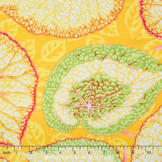 Kaffe Fassett Sunbeam Collective - Big Leaf Yellow Yardage