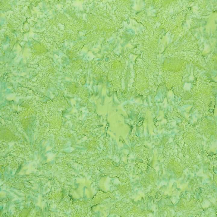 Artisan Batiks Solids - Prisma Dyes Oregano Yardage Primary Image