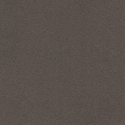 Cuddle® Solids - Pewter Minky Yardage