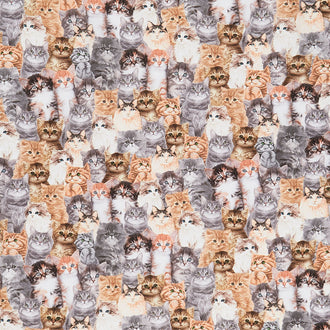 Cats - Packed Realistic Cats Natural Yardage