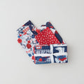American Dreamer Favorites 5 Piece Fat Quarter Bundle Primary Image
