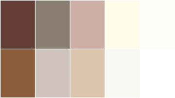 Handpicked Produce - Sweet Solids Ground Cover Rolie Polie 20 pcs. Alternative View #2