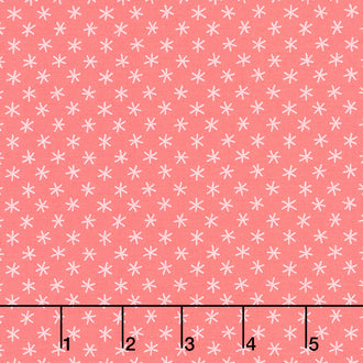 Century Rainbow - Big Asterisks Guava Punch Yardage