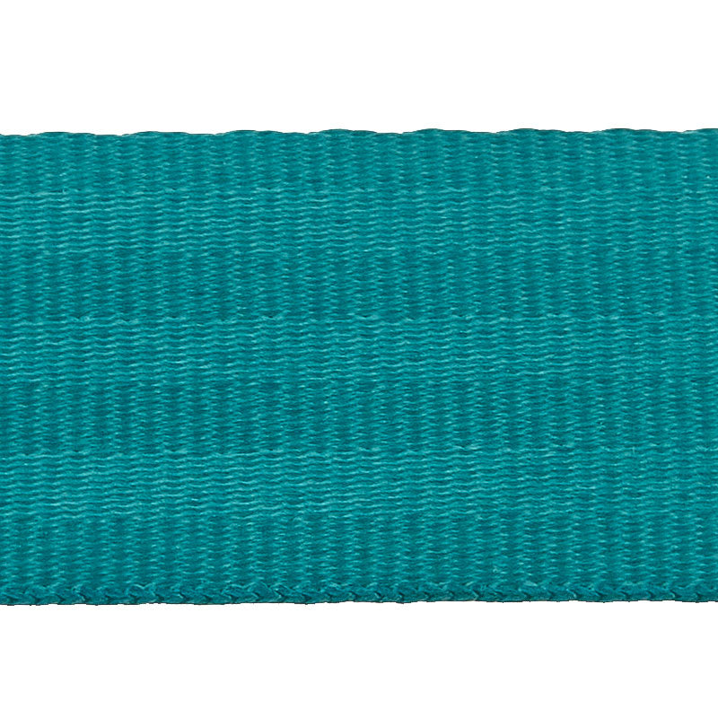 Seat Belt Webbing By-The-Yard - Tropical Teal Alternative View #1