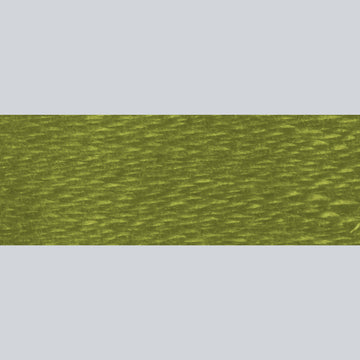 DMC Embroidery Floss - 580 Dark Moss Green Alternative View #1