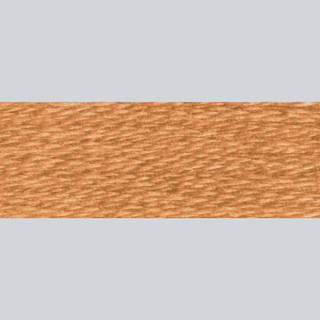 DMC Embroidery Floss - 435 Very Light Brown Alternative View #1