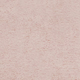 Luxe Cuddle® - Frosted Baby Seal Rosewater Yardage Primary Image