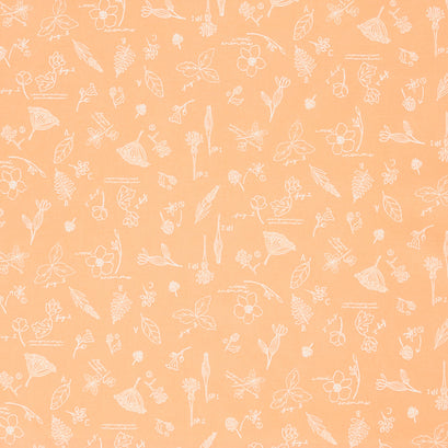Wildwood Wander - Sketchbook Peach Yardage